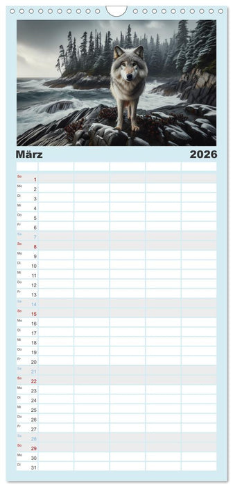 Kanadische Küstenwölfe (CALVENDO Familienplaner 2026)