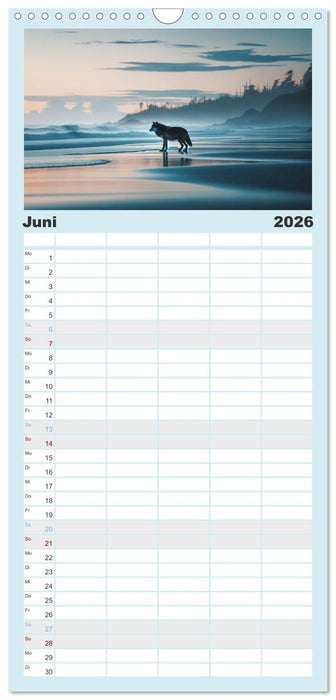 Kanadische Küstenwölfe (CALVENDO Familienplaner 2026)