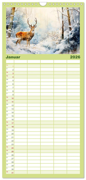 Zwölf Monate im Wald (CALVENDO Familienplaner 2026)