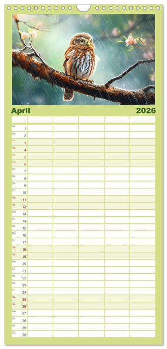 Zwölf Monate im Wald (CALVENDO Familienplaner 2026)