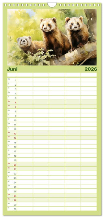 Zwölf Monate im Wald (CALVENDO Familienplaner 2026)