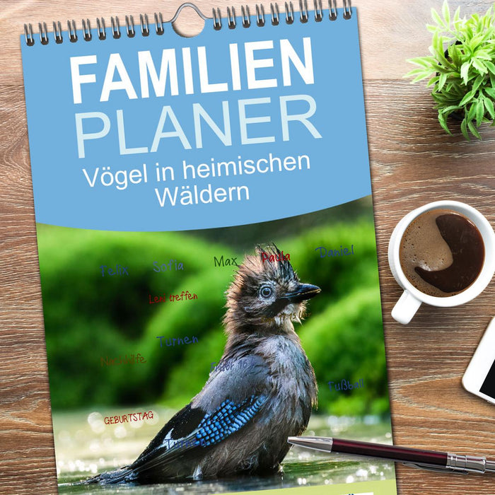 Vögel in heimischen Wäldern (CALVENDO Familienplaner 2026)