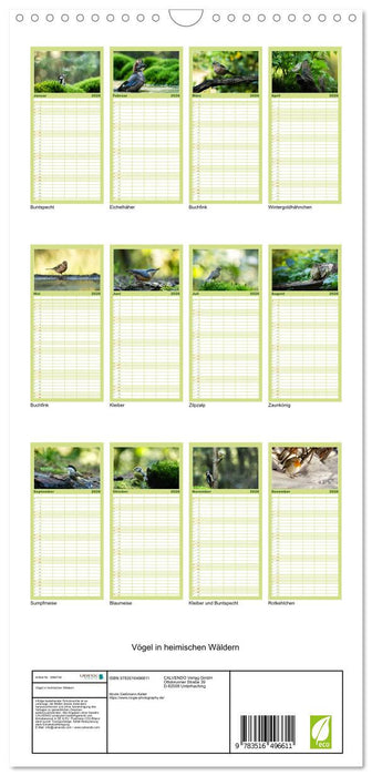 Vögel in heimischen Wäldern (CALVENDO Familienplaner 2026)