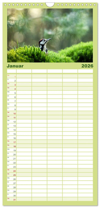 Vögel in heimischen Wäldern (CALVENDO Familienplaner 2026)