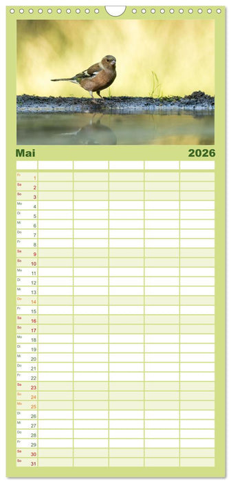 Vögel in heimischen Wäldern (CALVENDO Familienplaner 2026)