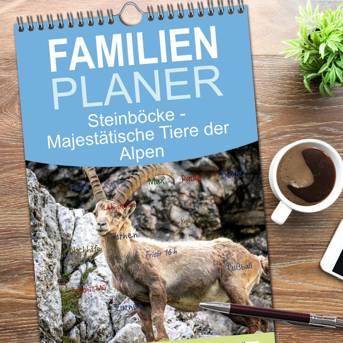 Steinböcke - Majestätische Tiere der Alpen (CALVENDO Familienplaner 2026)