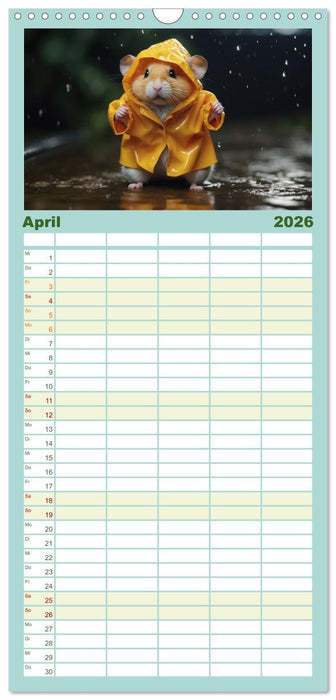 Hamstertage (CALVENDO Familienplaner 2026)