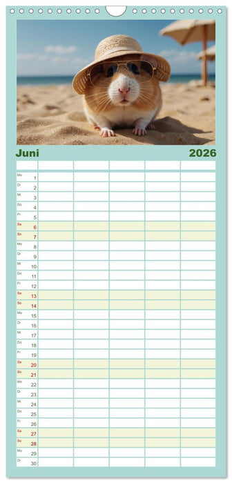 Hamstertage (CALVENDO Familienplaner 2026)