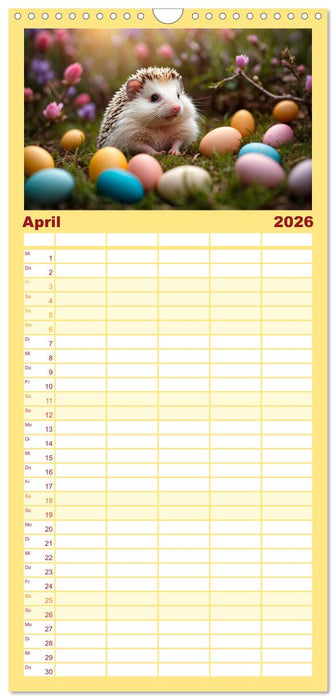 Stachelstars (CALVENDO Familienplaner 2026)