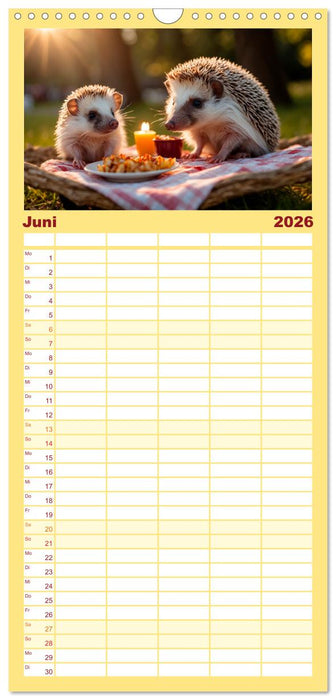 Stachelstars (CALVENDO Familienplaner 2026)