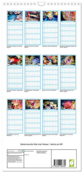 Geheimnisvolle Welt unter Wasser - Nachts am Riff (CALVENDO Familienplaner 2026)
