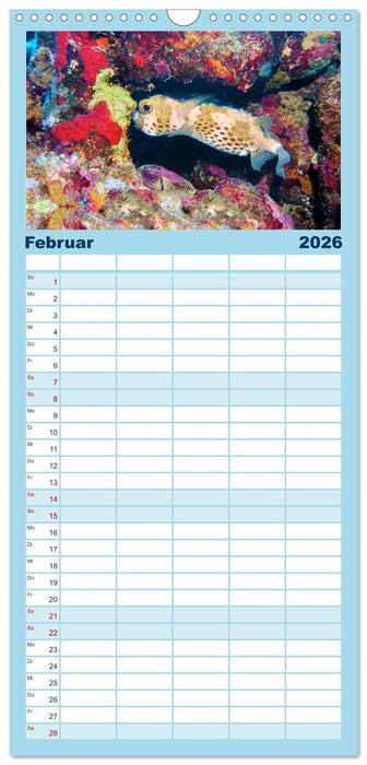 Geheimnisvolle Welt unter Wasser - Nachts am Riff (CALVENDO Familienplaner 2026)