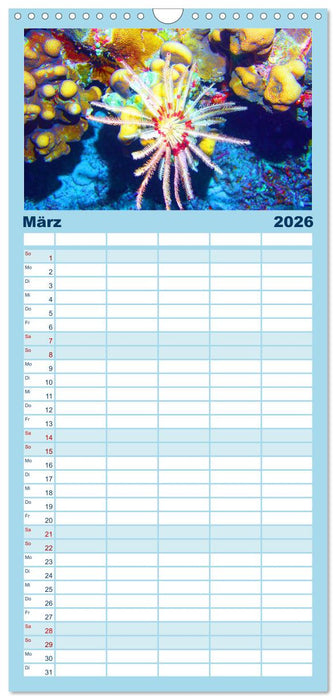 Geheimnisvolle Welt unter Wasser - Nachts am Riff (CALVENDO Familienplaner 2026)