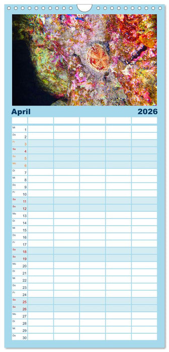 Geheimnisvolle Welt unter Wasser - Nachts am Riff (CALVENDO Familienplaner 2026)