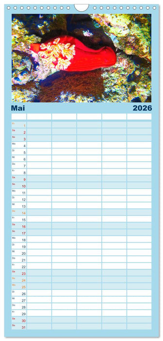 Geheimnisvolle Welt unter Wasser - Nachts am Riff (CALVENDO Familienplaner 2026)