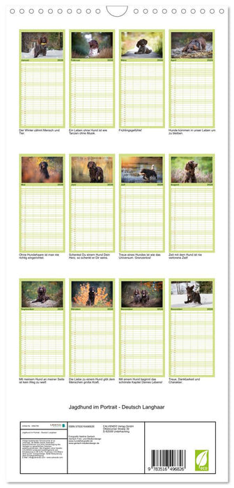 Jagdhund im Portrait - Deutsch Langhaar (CALVENDO Familienplaner 2026)