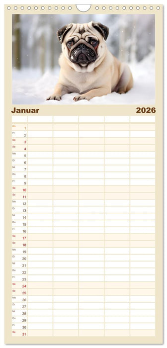 Lustige Mops-Hunde: Die charmanten Meister von Chaos und Unfug (CALVENDO Familienplaner 2026)
