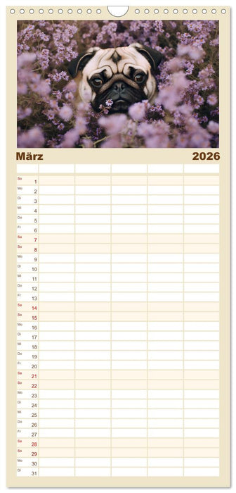 Lustige Mops-Hunde: Die charmanten Meister von Chaos und Unfug (CALVENDO Familienplaner 2026)