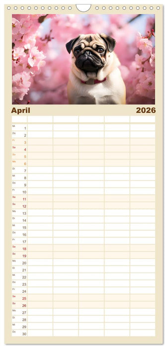 Lustige Mops-Hunde: Die charmanten Meister von Chaos und Unfug (CALVENDO Familienplaner 2026)