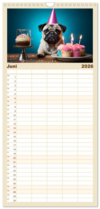 Lustige Mops-Hunde: Die charmanten Meister von Chaos und Unfug (CALVENDO Familienplaner 2026)