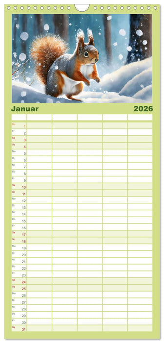Der Eichhörnchen-Kalender (CALVENDO Familienplaner 2026)