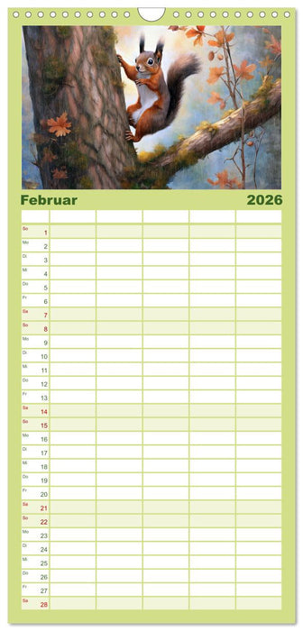 Der Eichhörnchen-Kalender (CALVENDO Familienplaner 2026)