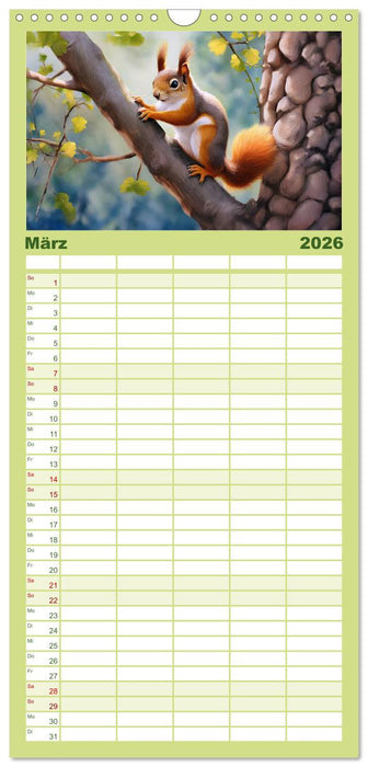 Der Eichhörnchen-Kalender (CALVENDO Familienplaner 2026)