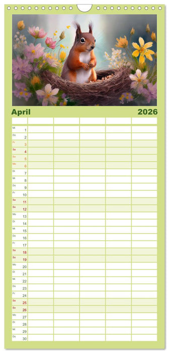 Der Eichhörnchen-Kalender (CALVENDO Familienplaner 2026)