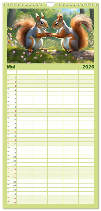 Der Eichhörnchen-Kalender (CALVENDO Familienplaner 2026)