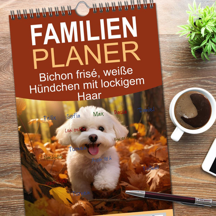 Bichon frisé, weiße Hündchen mit lockigem Haar (CALVENDO Familienplaner 2026)