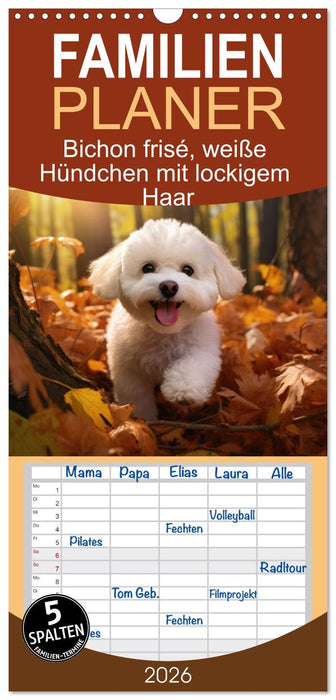 Bichon frisé, weiße Hündchen mit lockigem Haar (CALVENDO Familienplaner 2026)