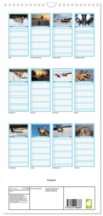 Huskies! (CALVENDO Familienplaner 2026)