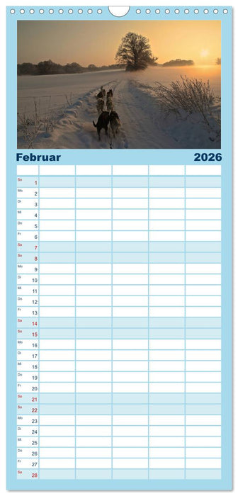 Huskies! (CALVENDO Familienplaner 2026)