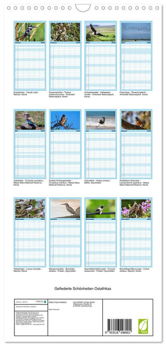 Gefiederte Schönheiten Ostafrikas (CALVENDO Familienplaner 2026)