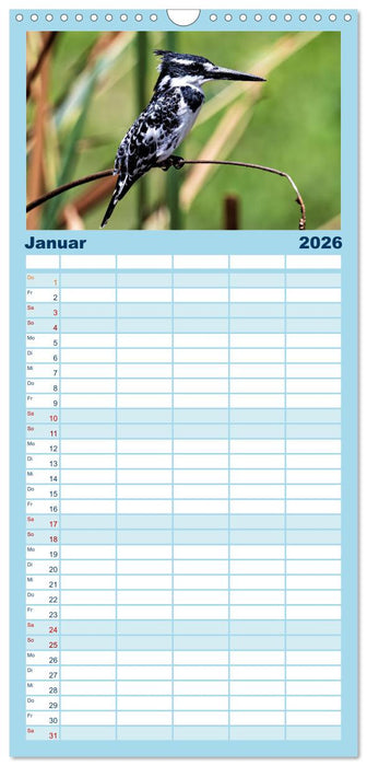 Gefiederte Schönheiten Ostafrikas (CALVENDO Familienplaner 2026)