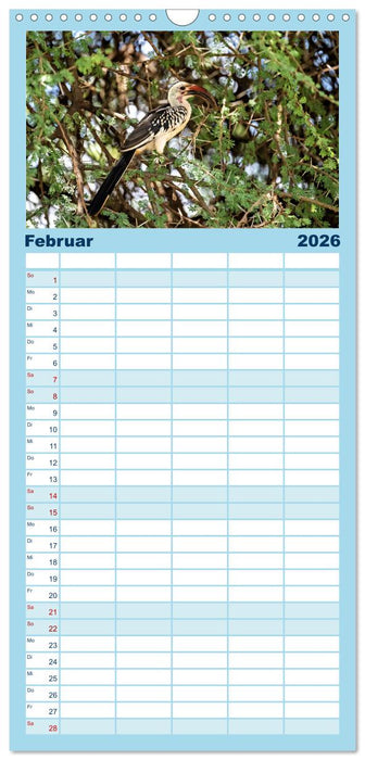 Gefiederte Schönheiten Ostafrikas (CALVENDO Familienplaner 2026)