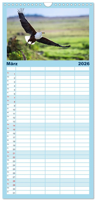 Gefiederte Schönheiten Ostafrikas (CALVENDO Familienplaner 2026)