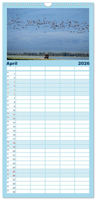 Gefiederte Schönheiten Ostafrikas (CALVENDO Familienplaner 2026)