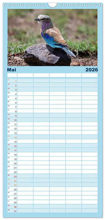 Gefiederte Schönheiten Ostafrikas (CALVENDO Familienplaner 2026)