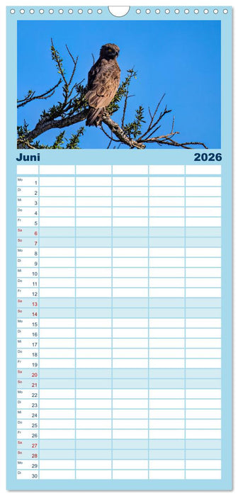 Gefiederte Schönheiten Ostafrikas (CALVENDO Familienplaner 2026)