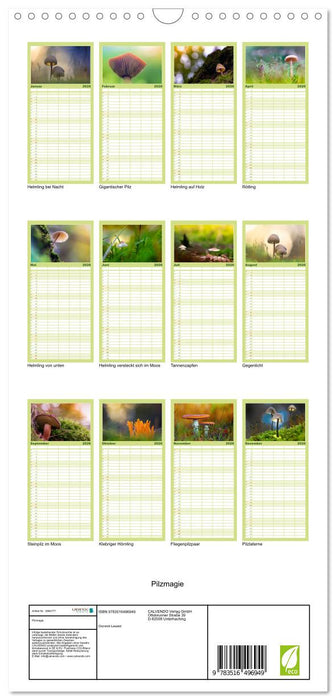 Pilzmagie (CALVENDO Familienplaner 2026)