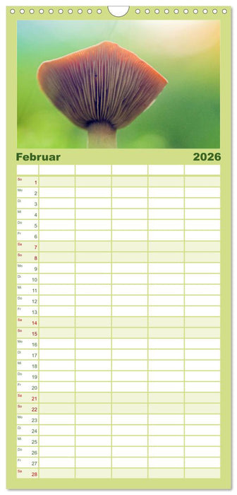 Pilzmagie (CALVENDO Familienplaner 2026)