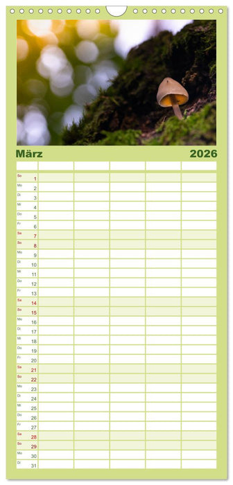 Pilzmagie (CALVENDO Familienplaner 2026)