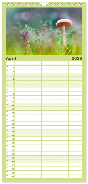 Pilzmagie (CALVENDO Familienplaner 2026)