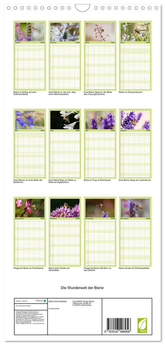 Die Wunderwelt der Biene (CALVENDO Familienplaner 2026)