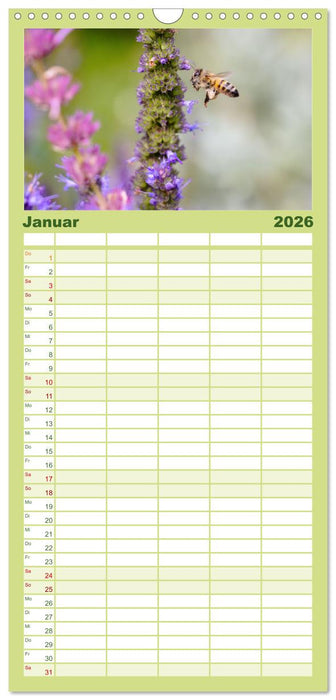 Die Wunderwelt der Biene (CALVENDO Familienplaner 2026)