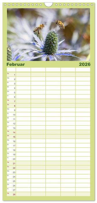 Die Wunderwelt der Biene (CALVENDO Familienplaner 2026)