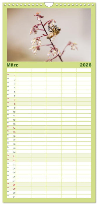 Die Wunderwelt der Biene (CALVENDO Familienplaner 2026)