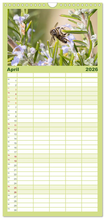 Die Wunderwelt der Biene (CALVENDO Familienplaner 2026)