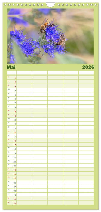 Die Wunderwelt der Biene (CALVENDO Familienplaner 2026)